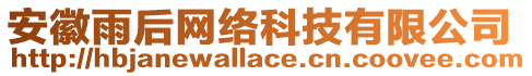 安徽雨后網(wǎng)絡(luò)科技有限公司