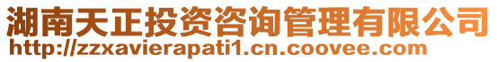 湖南天正投資咨詢管理有限公司