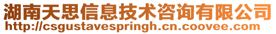 湖南天思信息技術咨詢有限公司