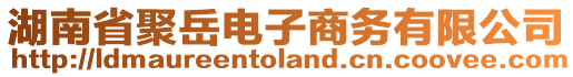 湖南省聚岳電子商務(wù)有限公司