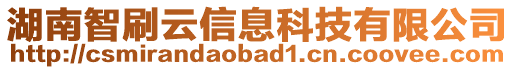 湖南智刷云信息科技有限公司