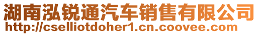 湖南泓銳通汽車銷售有限公司