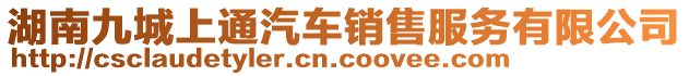 湖南九城上通汽車銷售服務(wù)有限公司