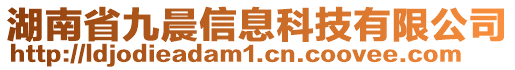 湖南省九晨信息科技有限公司