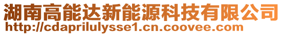 湖南高能達新能源科技有限公司