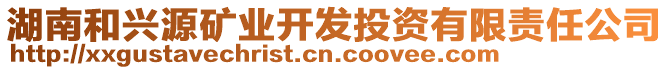 湖南和興源礦業(yè)開發(fā)投資有限責(zé)任公司