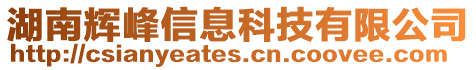 湖南輝峰信息科技有限公司