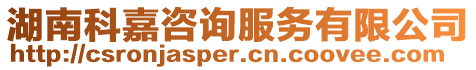 湖南科嘉咨詢服務(wù)有限公司