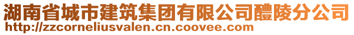 湖南省城市建筑集團有限公司醴陵分公司