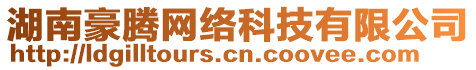 湖南豪騰網(wǎng)絡(luò)科技有限公司