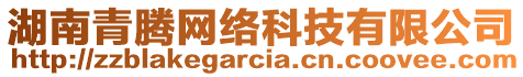 湖南青騰網(wǎng)絡(luò)科技有限公司