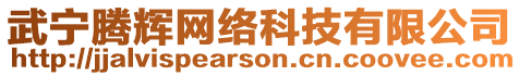 武寧騰輝網(wǎng)絡(luò)科技有限公司