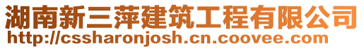 湖南新三萍建筑工程有限公司