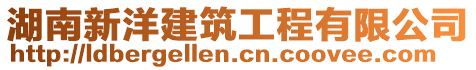 湖南新洋建筑工程有限公司