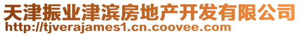 天津振業(yè)津濱房地產(chǎn)開發(fā)有限公司