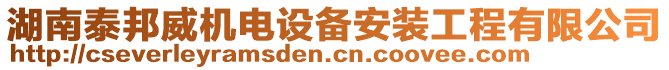 湖南泰邦威机电设备安装工程有限公司