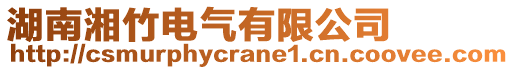 湖南湘竹電氣有限公司