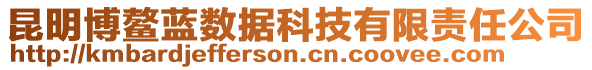 昆明博鰲藍(lán)數(shù)據(jù)科技有限責(zé)任公司