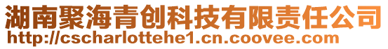 湖南聚海青創(chuàng)科技有限責(zé)任公司