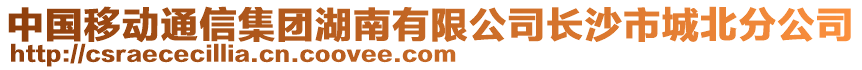 中国移动通信集团湖南有限公司长沙市城北分公司