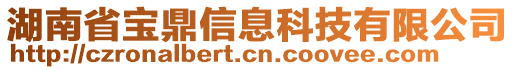 湖南省寶鼎信息科技有限公司