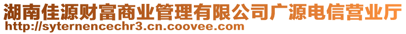 湖南佳源財(cái)富商業(yè)管理有限公司廣源電信營(yíng)業(yè)廳