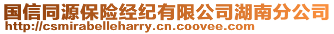 國信同源保險經(jīng)紀有限公司湖南分公司