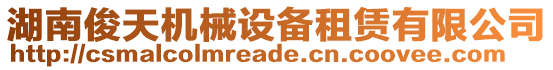 湖南俊天機械設(shè)備租賃有限公司