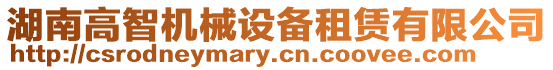 湖南高智機械設備租賃有限公司