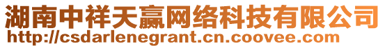 湖南中祥天贏網絡科技有限公司