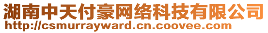 湖南中天付豪網(wǎng)絡(luò)科技有限公司