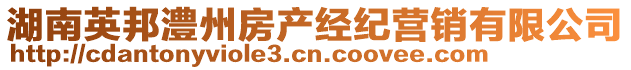 湖南英邦澧州房產(chǎn)經(jīng)紀(jì)營銷有限公司