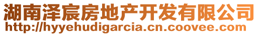 湖南澤宸房地產(chǎn)開發(fā)有限公司