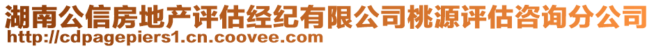 湖南公信房地产评估经纪有限公司桃源评估咨询分公司