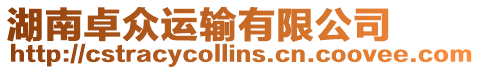 湖南卓眾運輸有限公司
