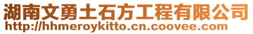 湖南文勇土石方工程有限公司