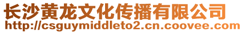 長沙黃龍文化傳播有限公司