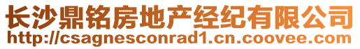 長(zhǎng)沙鼎銘房地產(chǎn)經(jīng)紀(jì)有限公司