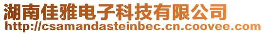 湖南佳雅電子科技有限公司