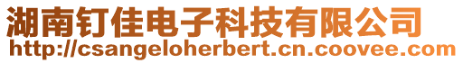 湖南釘佳電子科技有限公司