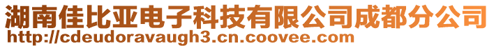 湖南佳比亞電子科技有限公司成都分公司