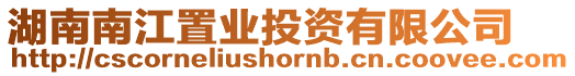 湖南南江置業(yè)投資有限公司