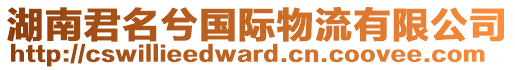 湖南君名兮國(guó)際物流有限公司