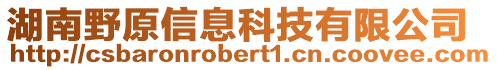 湖南野原信息科技有限公司