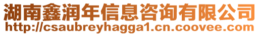 湖南鑫潤年信息咨詢有限公司