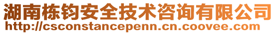 湖南栋钧安全技术咨询有限公司