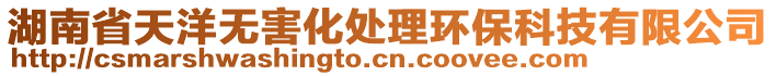 湖南省天洋无害化处理环保科技有限公司