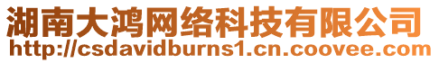 湖南大鴻網(wǎng)絡(luò)科技有限公司