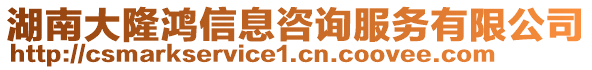 湖南大隆鴻信息咨詢服務有限公司