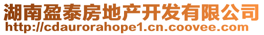 湖南盈泰房地產(chǎn)開(kāi)發(fā)有限公司